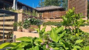 Ryhmä kasveja puutarhassa. Kuvassa on vihreitä värejä. Mukana myös ulkona, rakennuksena, taivaana.