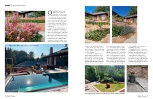 Kuvakaappaus talosta. Kuvassa on valkoisia värejä. Huoneessa on myös puu, kasvi, uima-allas.