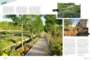 Kaavio. Kuvassa on valkoisia värejä. Sisältää myös tekstiä, kukkaa, puuta.