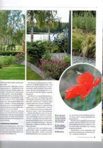 Kirjan sivu. Kuvassa on valkoisia värejä. Sisältää myös tekstiä, kasvia, puuta.