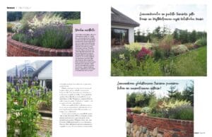 Kuvakaappaus talosta. Kuvassa on valkoisia värejä. Sisältää myös kasvin, tekstin, kukan.