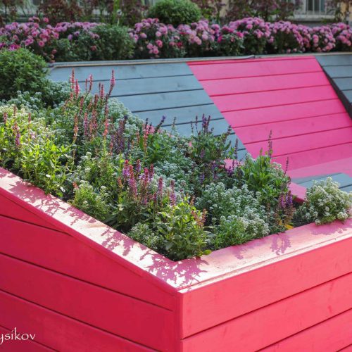 Istutuslaatikko kukilla. Kuvassa on punainen ja vaaleanpunainen väri. Mukana myös ulkona, rakennus, huonekasvi.