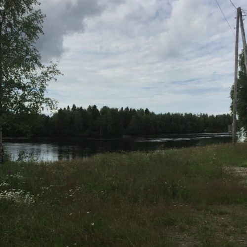 Puiden ympäröimä järvi. Kuvassa on mustavalkoinen ja harmaa väri. Mukana myös ulkona, pilvi, taivas.