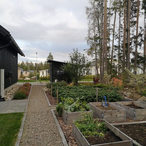 Puutarha, jossa on polku. Kuvassa on harmaa ja valkoinen väri. Sisältää palopostin ja talon. Mukana myös ulkona, taivas, pilvi.