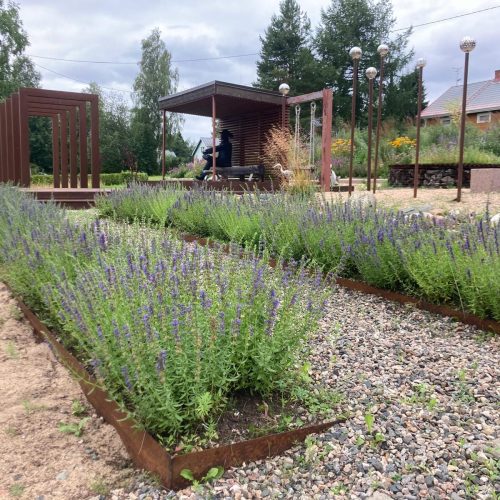 Puutarha kukilla. Kuvassa on harmaa ja vihreä väri. Mukana myös ulkona, taivas, puu.