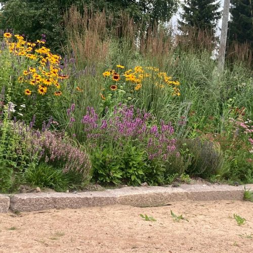 Puutarha, jossa on värikkäitä kukkia. Kuvassa on vihreitä värejä. Mukana myös ulkona, kasvi, puu.