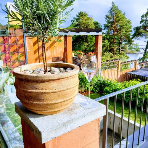 Ruukkukasvi kivillä aurinkoisella parvekkeella. Sen vieressä lasi roséviiniä lepää kielekkeellä. Taustalla puut ja pilkahdus vettä luovat rauhallisen, rehevän ulkoilman osittain pilvisen taivaan alla.