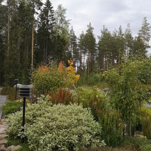 Puutarha, jossa on puita ja pensaita. Kuvassa on harmaa ja valkoinen väri. Mukana myös ulkona, taivas, pilvi.