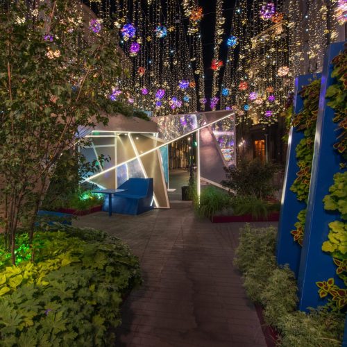 Kävelytie, jossa on kasveja ja puita. Kuvassa on mustia värejä. Mukana myös majorelle sininen, ulkona, kukka.