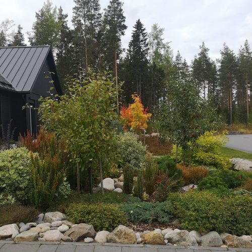 Puutarha, jossa on puita ja kiviä. Kuvassa on harmaa ja valkoinen väri. Mukana myös ulkona, taivas, syksy.