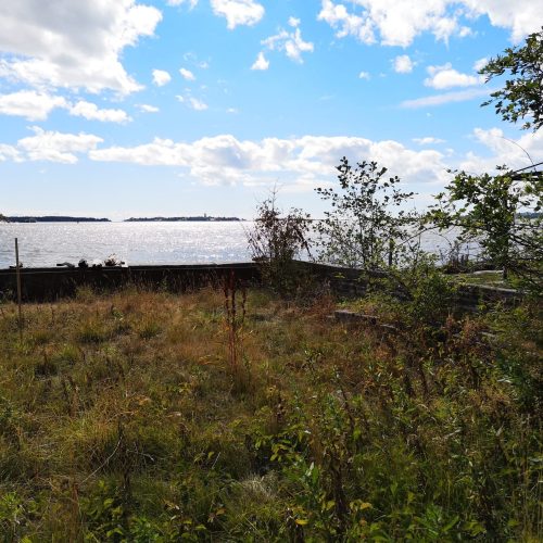 Vesistö, jonka ympärillä on ruohoa ja puita. Kuvassa on valkoinen ja musta väri. Mukana myös ulkona, pilvi, taivas.