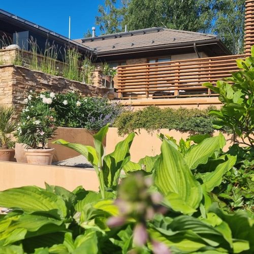 Ryhmä kasveja puutarhassa. Kuvassa on vihreitä värejä. Mukana myös ulkona, rakennuksena, taivaana.