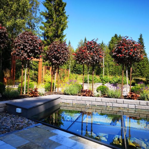 Uima-allas, jonka ympärillä on puita. Kuvassa on mustia värejä. Mukana myös kasvi, ulkona, taivas.