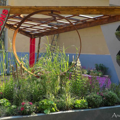 Puutarha, jonka taustalla on rakenne. Kuvassa on harmaa ja ruskea väri. Mukana myös rakennus, huonekasvi, ulkona.