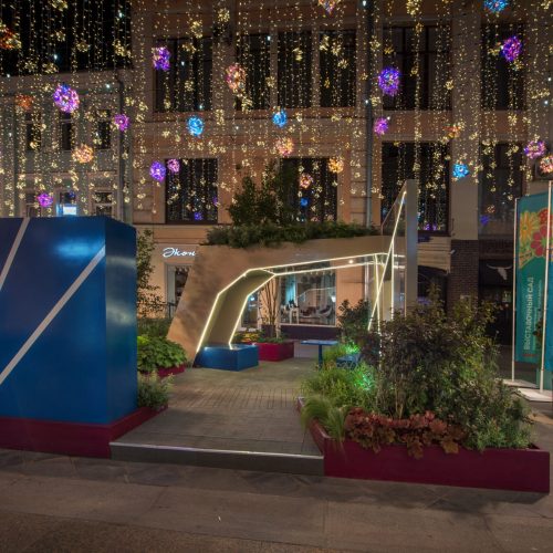 Rakennus, jossa on jouluvalot. Kuvassa on mustia värejä. Mukana myös majorelle blue, yö, joulukuusi.