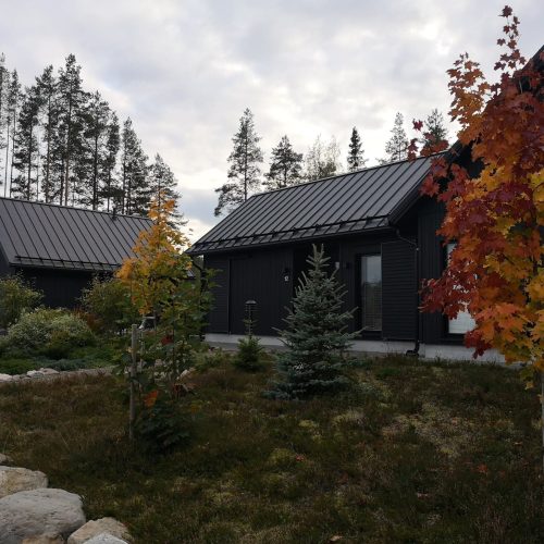 Talo, jonka ympärillä on puita. Kuvassa on mustavalkoinen ja harmaa väri. Mukana myös ulkona, syksyllä, taivas.