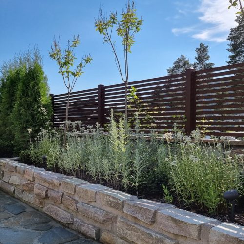 Kiviseinä, jossa on aita ja kasveja sen ympärillä. Kuvassa on harmaat värit. Mukana myös ulkona, taivas, pilvi.