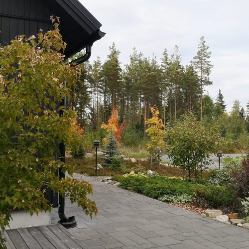 Tiilipolku, jossa on puita ja pensaita. Kuvassa on valkoinen ja harmaa väri. Mukana myös ulkona, syksyllä, taivas.