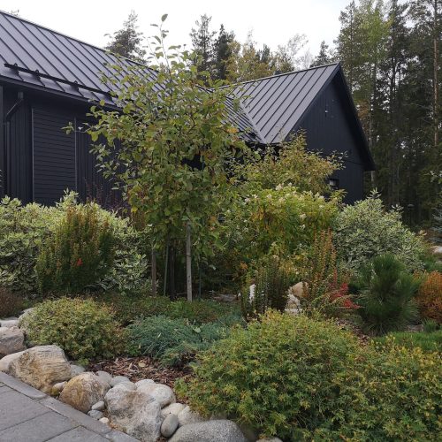 Puutarha, jonka taustalla on talo. Kuvassa on harmaa ja musta väri. Sisältää myös ulkona, puu, rakennus.