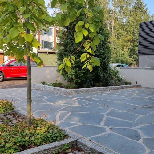 Tiilinen ajotie, jossa on puita ja auto pysäköity taustalle. Kuvassa on harmaat värit. Sisältää myös ulko-, kasvi-, maa-ajoneuvon.