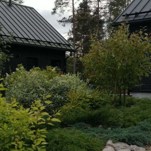 Puutarha, jonka taustalla on talo. Kuvassa on harmaa ja musta väri. Sisältää puun ja talon. Mukana myös ulkona, rakennuksena, taivaana.