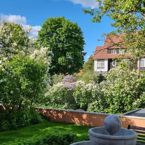 Rehevä puutarha, jossa on vihreää ruohoa ja kukkivia valkoisia kukkia. Etualalla istuu suihkulähde, kun taas puiden joukosta näkyy osittain punakattoinen talo, jossa on valkoiset ikkunat. Taivas on kirkas ja sininen.