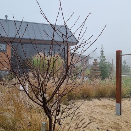 Rakennus, jonka ympärillä on aita. Kuvassa on valkoinen ja harmaa sekä ruskea väri. Mukana myös ulkona, taivas, kasvi.