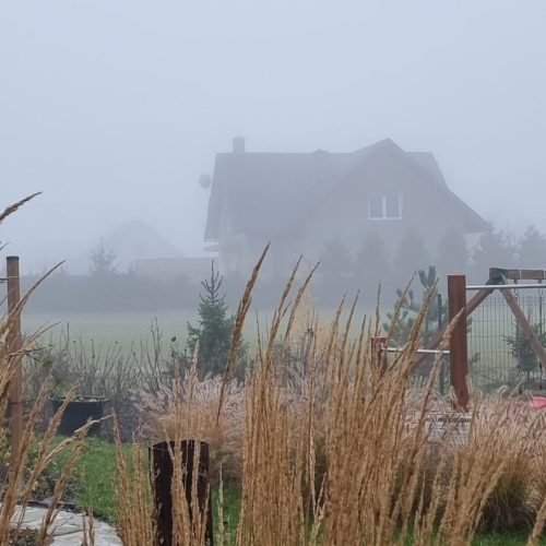 Ryhmä rakennuksia vesistön vieressä. Kuvassa on valkoinen ja harmaa väri. Mukana myös ulkona, taivas, sumu.