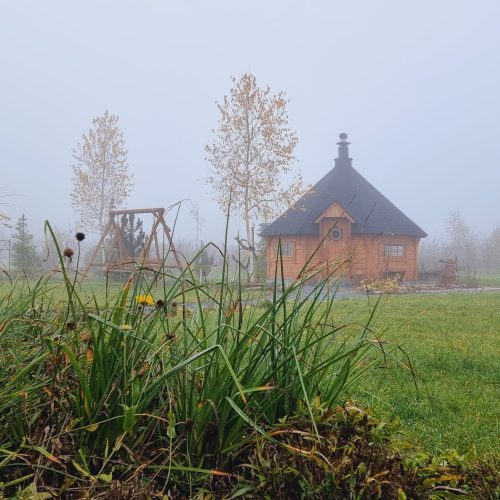 Talo pellolla. Kuvassa on valkoinen ja vihreä väri. Sisältää puun ja talon. Sisältää myös ulkona, ruohoa, kasveja.