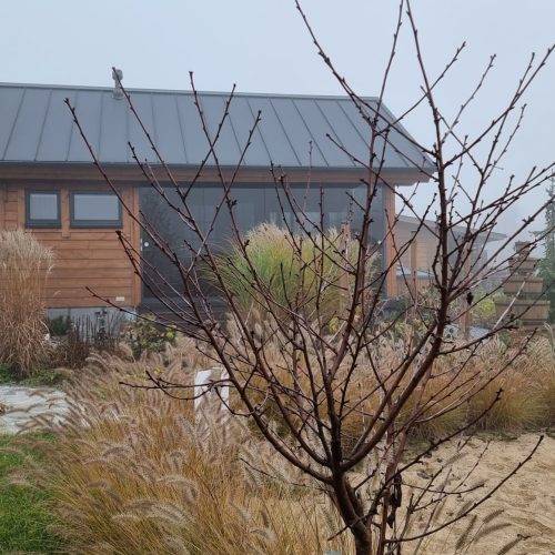 Koripallovanne talon edessä. Kuvassa on valkoinen ja harmaa väri. Sisältää asuntolan ikkunan ja ikkunan. Mukana myös ulkona, taivas, kasvi.