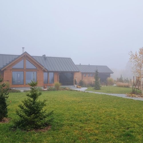 Talo, jossa on piha ja puita. Kuvassa on valkoinen ja vihreä väri. Sisältää puun ja talon. Mukana myös ulkona, taivas, kasvi.