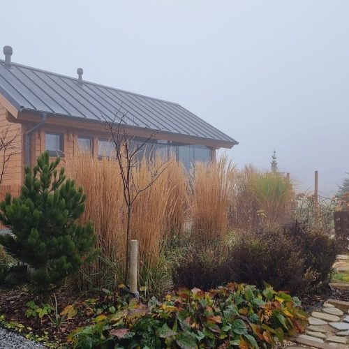 Puutarha talon edessä. Kuvassa on valkoinen ja harmaa väri. Mukana myös ulkona, taivas, kasvi.