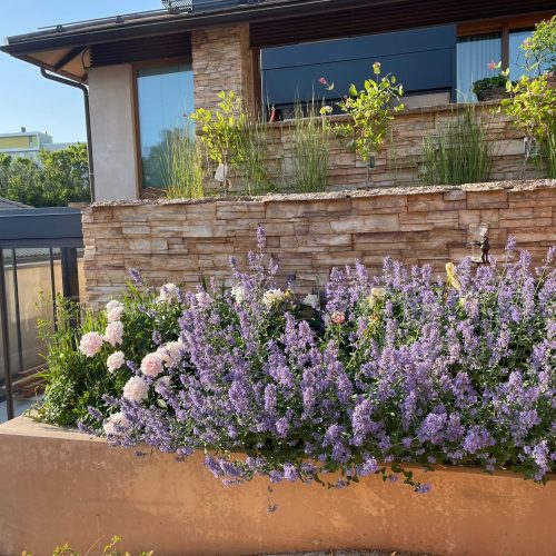 Kukkien puutarha. Kuvassa on ruskea ja harmaa väri. Mukana myös ulkona, rakennuksena, taivaana.