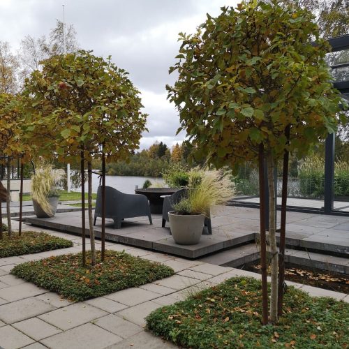 Piha, jossa on puita ja penkkejä. Kuvassa on harmaa ja valkoinen väri. Mukana myös ulkona, taivas, pilvi.