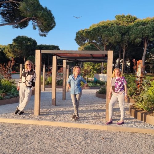 Ryhmä ihmisiä seisoo ulkona. Kuvassa on mustan ja harmaan värit. Sisältää farkut, henkilön ja puun. Näyttää 2 henkilöä. Mukana myös ulkona, kasvi, taivas.