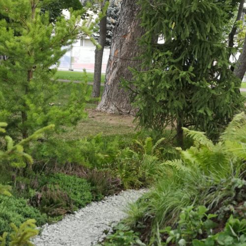 Polku metsän läpi. Kuvassa on vihreitä värejä. Mukana myös ulkona, maanpeite, kasvi.