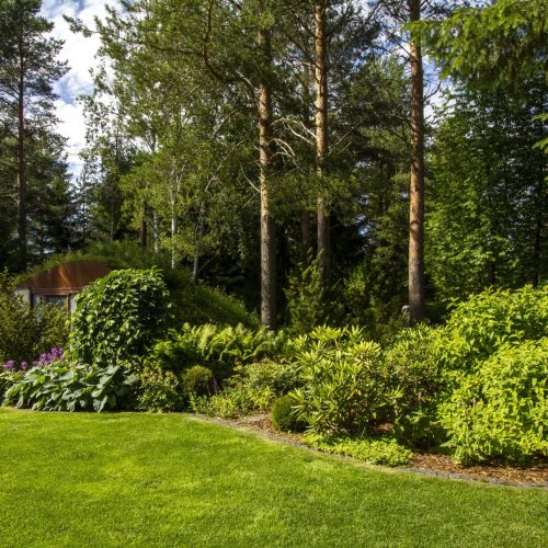 Vihreä nurmikko, jossa on puita ja pensaita. Kuvassa on mustia värejä. Mukana myös ulkona, kasvi, taivas.