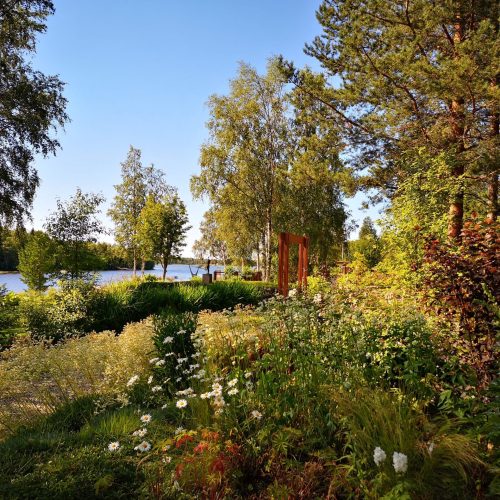 Puutarha, jossa on puita ja pensaita. Kuvassa on mustan ja ruskean värit. Mukana myös ulkona, ruoho, taivas.