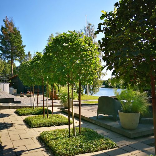 Patio, jossa on puita ja vesistö taustalla. Kuvassa on vihreitä värejä. Huoneessa on myös ulkona, taivas, maisemointi.