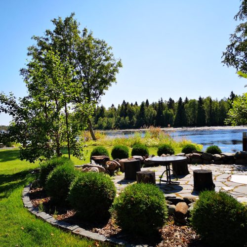 Puisto, jossa on lampi ja puita. Kuvassa on mustia värejä. Mukana myös ulkona, kasvi, ruoho.