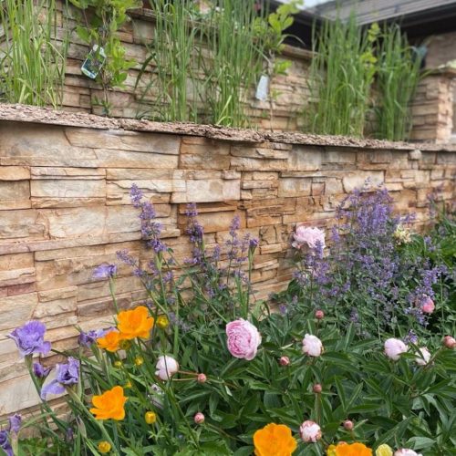 Puutarha kukilla. Kuvassa on vihreitä värejä. Mukana myös kasvi, ulkona, rakennus.