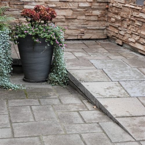 Pari ruukkukasvia kiviterassilla. Kuvassa on harmaat värit. Mukana myös maa, kukkaruukku, ulkona.